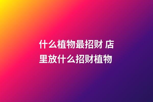 什么植物最招财 店里放什么招财植物